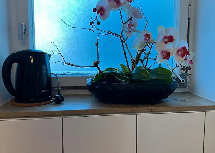 Apartments Neckarsulm 3* نيكارسولم